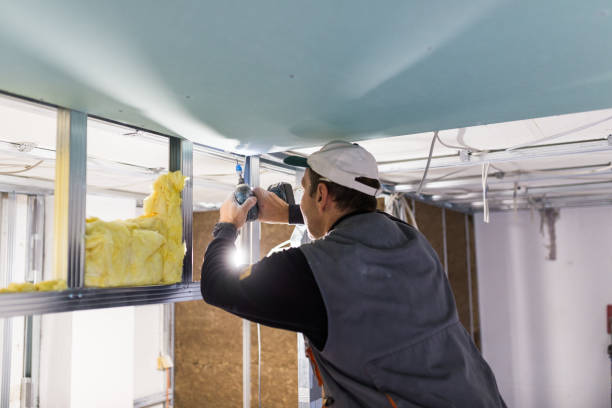 Best Geographic-Specific Insulation Services in Flemingsburg, KY